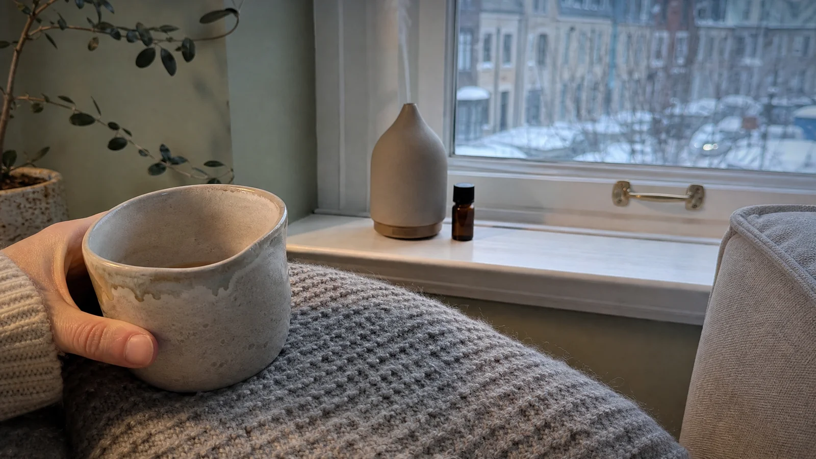 Cozy Winter Diffuser Blends with Amyris and Warm Spices